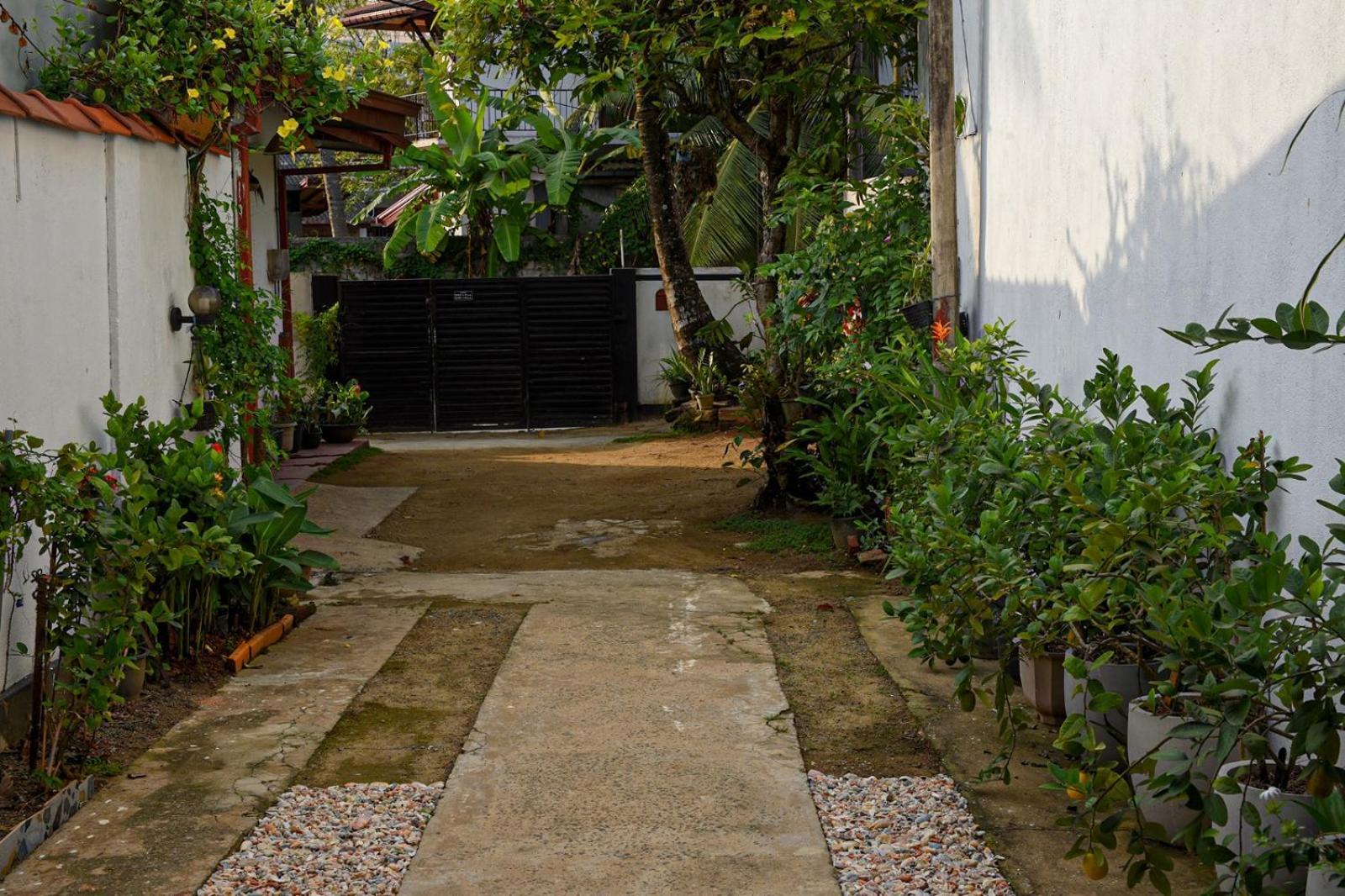 4Ty Two Homestay Galle Dış mekan fotoğraf