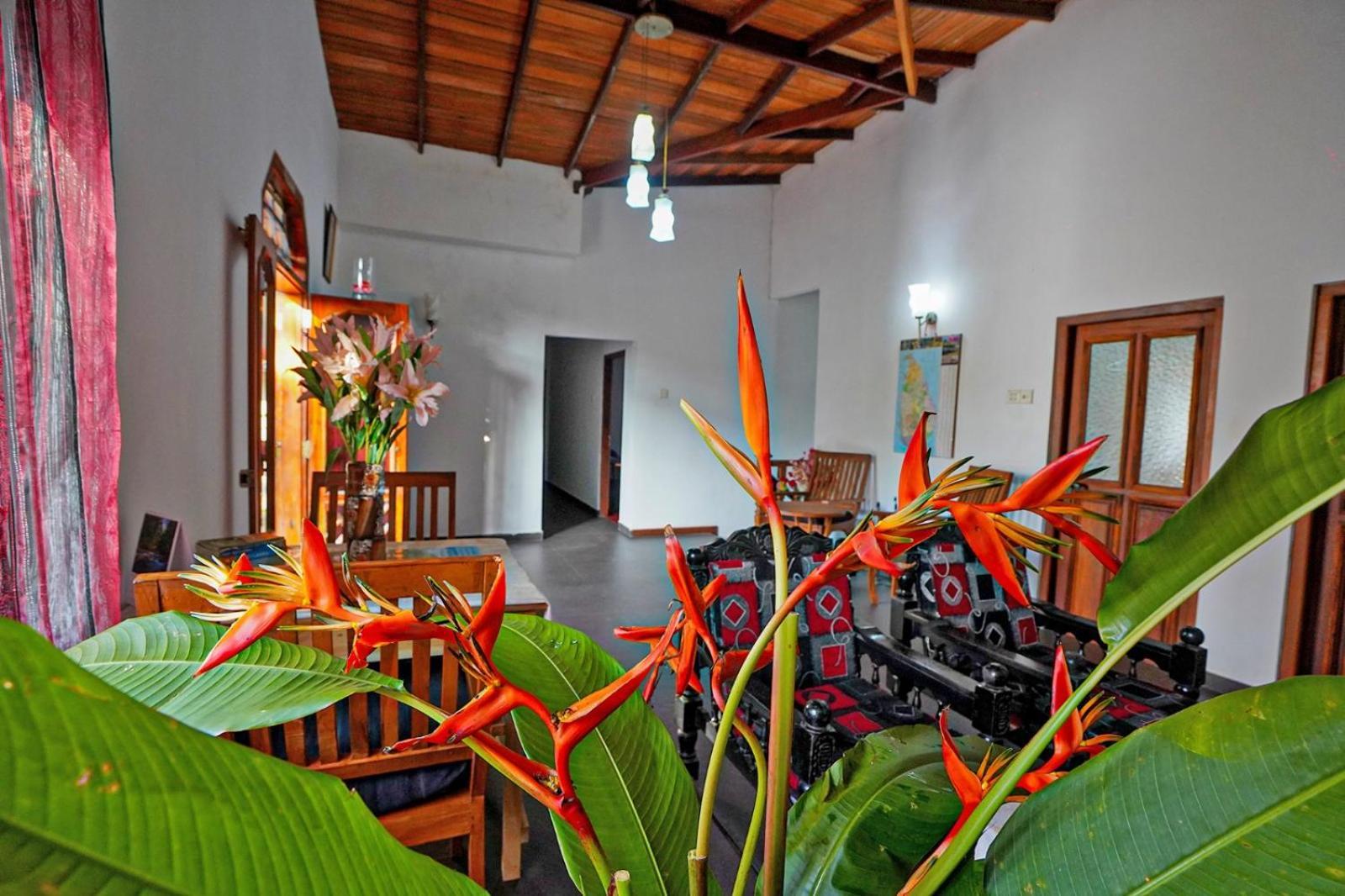 4Ty Two Homestay Galle Dış mekan fotoğraf